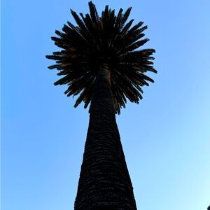 Meet your Posher, Elisa